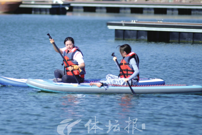 飞桨乘风