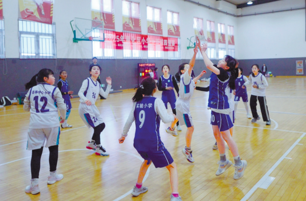 篮球小将赛场争锋