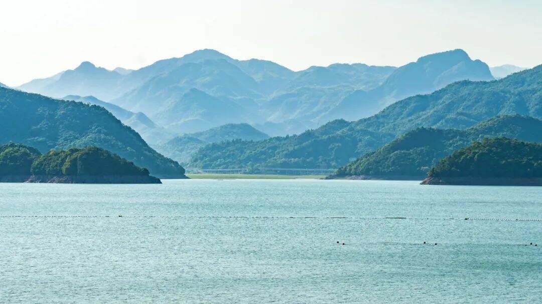 1924998374746992640.jpg 图片