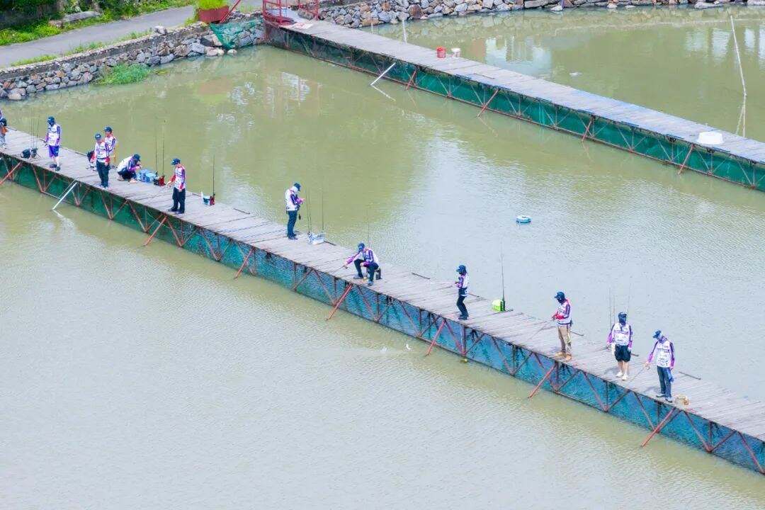 看台州新闻关注浙江在线台州频道微信(图2)