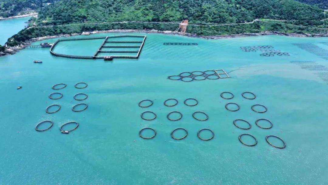 1973201031617499136.webp 微信图片_20250929095854.jpg