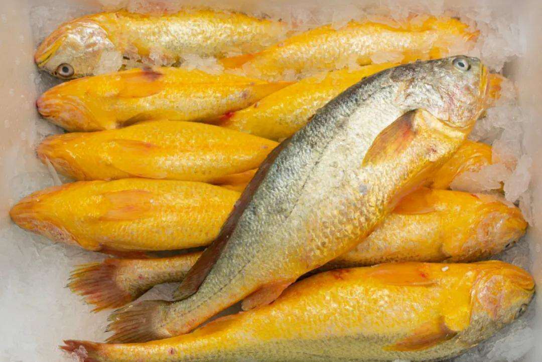 1973201031713968128.webp 微信图片_20250929100535.jpg