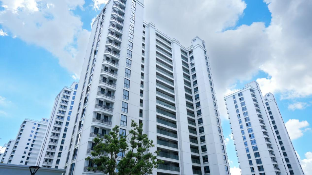 1999449418792566784.png 图片