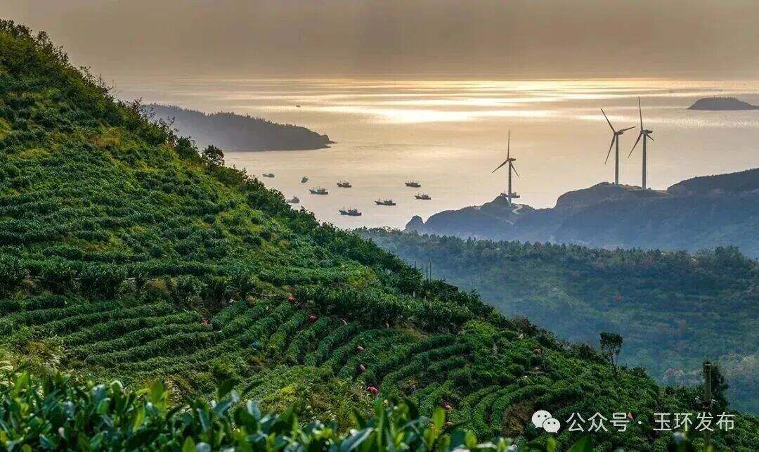 16221806698897.jpeg 图片