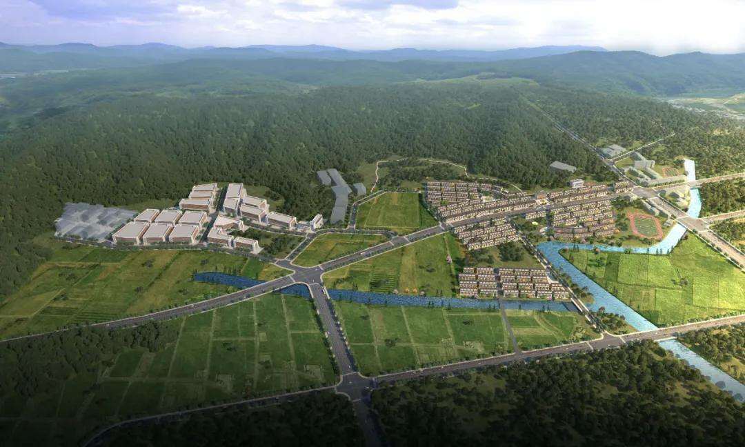 2003362975221415936.webp 图片