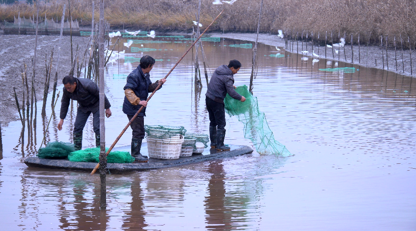 2021771955262115840.png 图片