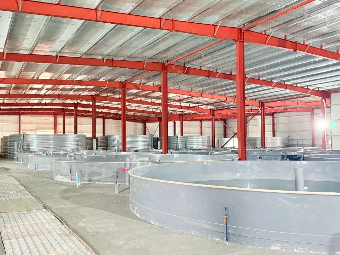 2025434151208800256.jpg 图片