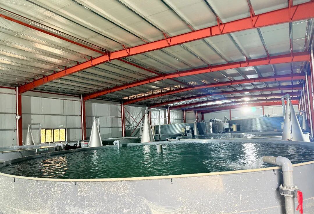 2025434151309463552.jpg 图片