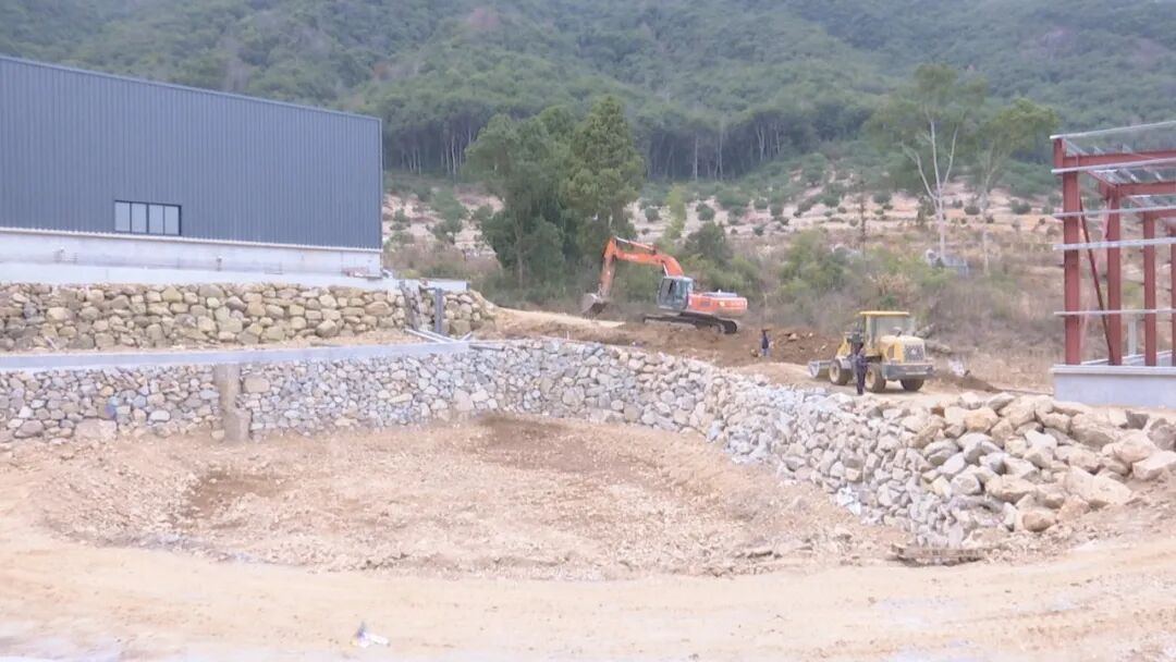 2025434151166857216.jpg 图片