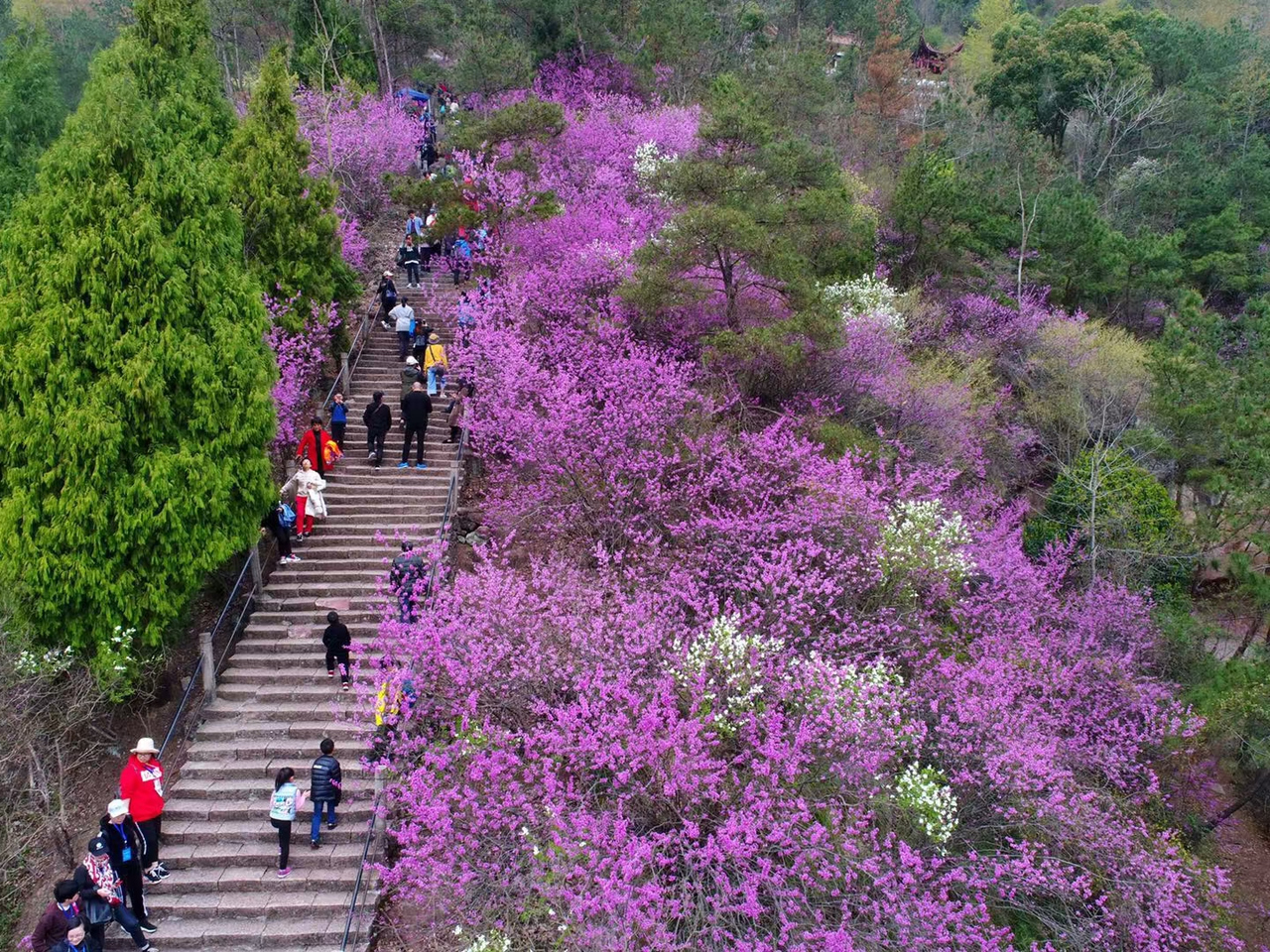 看台州新闻关注浙江在线台州频道微信(图4)