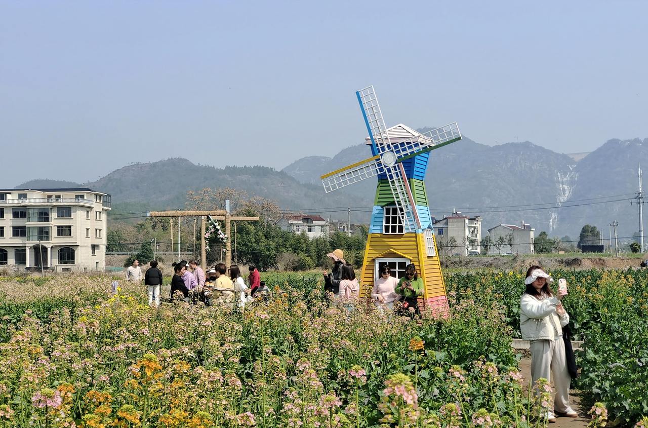 看台州新闻关注浙江在线台州频道微信(图6)