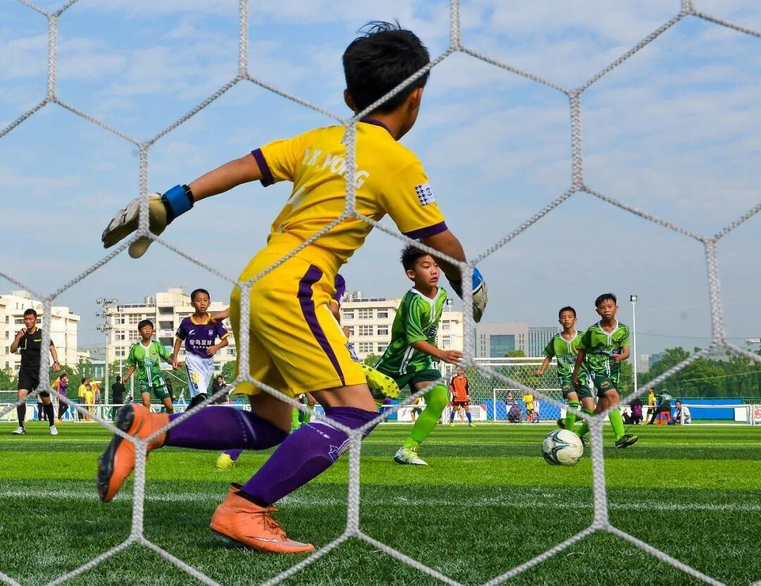 看台州新闻关注浙江在线台州频道微信(图6)