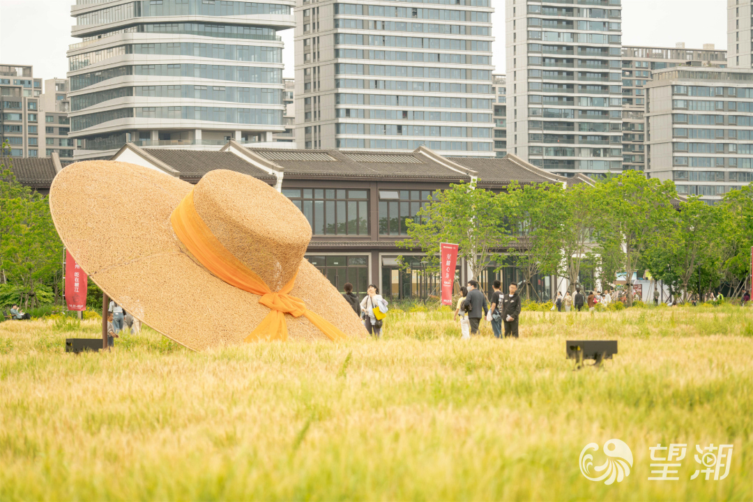 DSC03785-opq4567727790.jpg