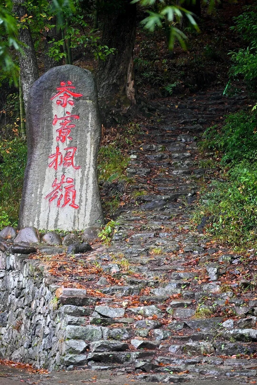 2055481685377490944.jpg 图片