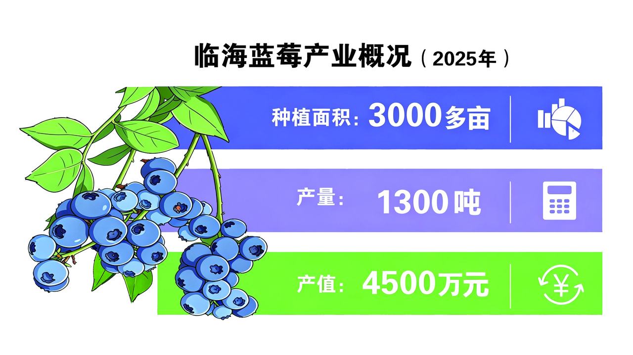 蓝莓产业-NEP0_20260601_C04310465497.jpg