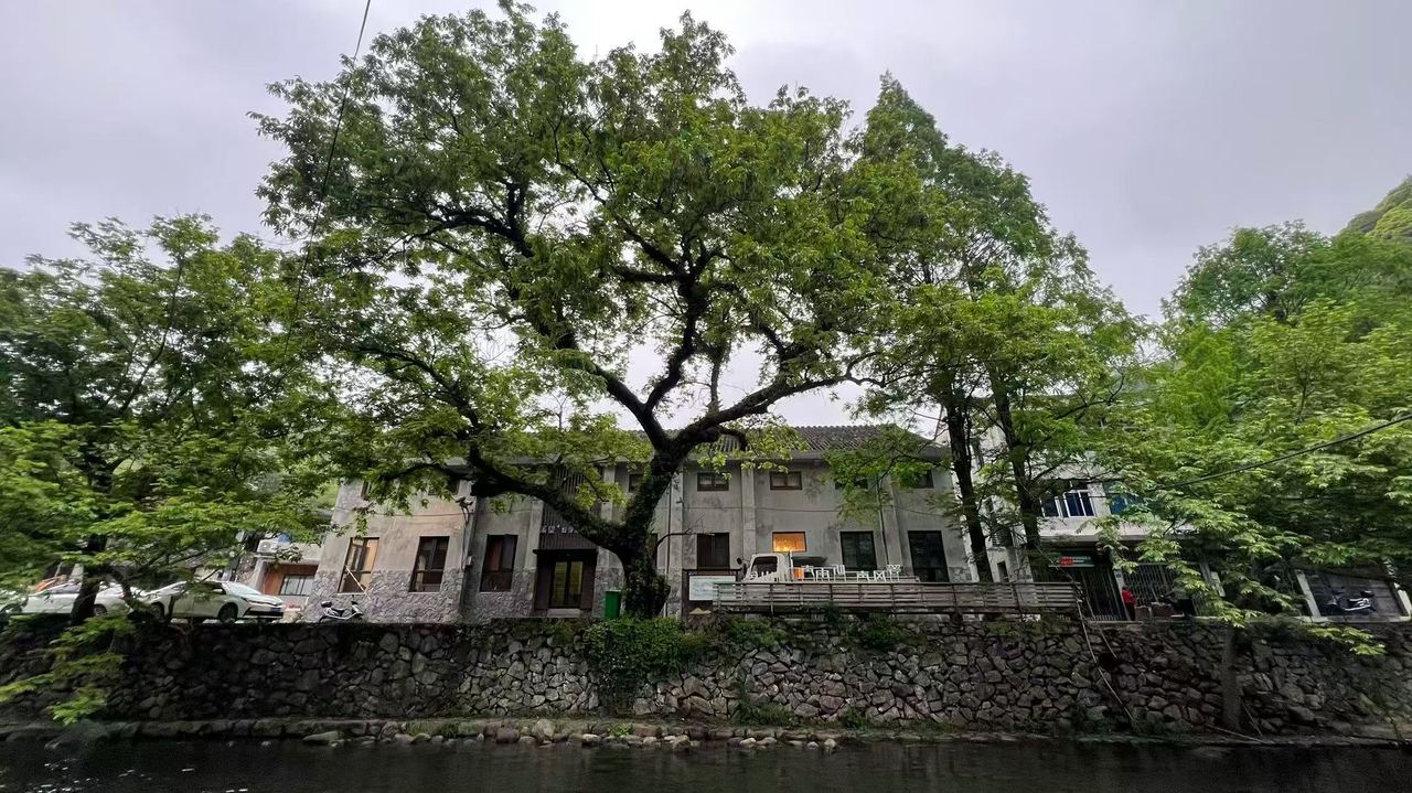 微信图片_2026-06-11_112538_791.jpg
