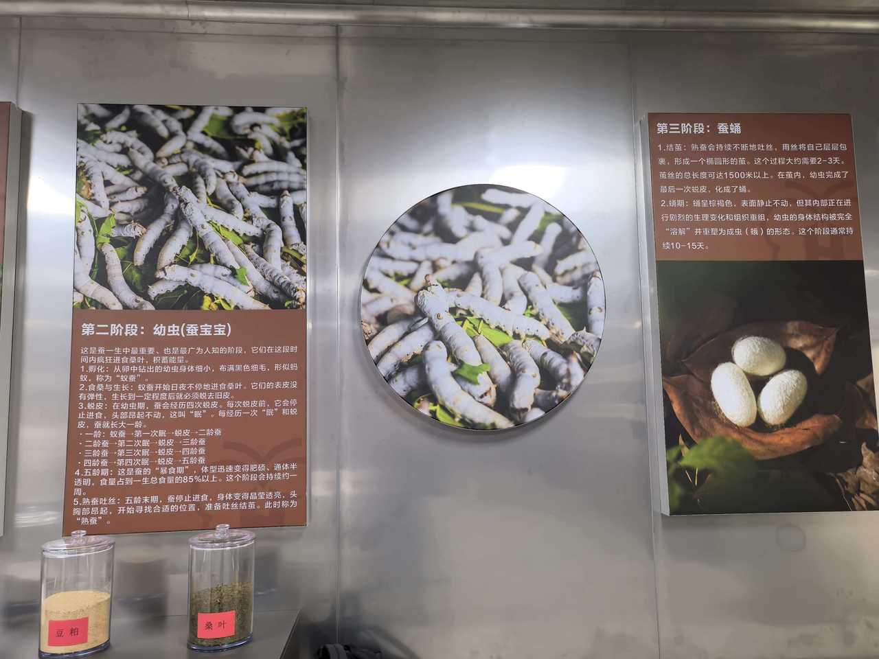 e7f9f8849640c0cf8970a9f85c88c695.jpg