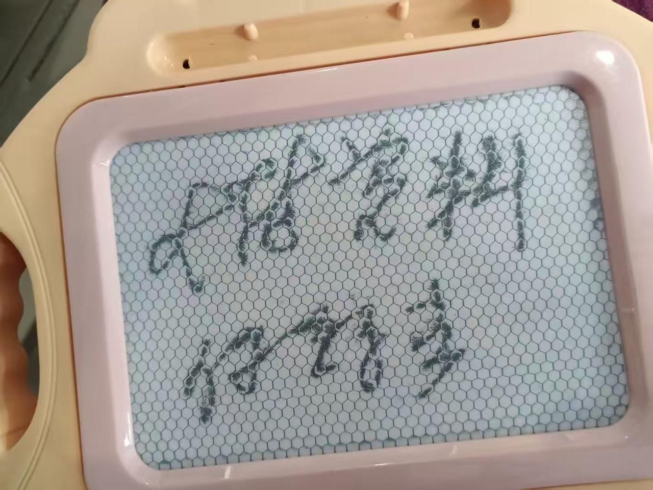 微信图片_20260720213104_1596_12.jpg