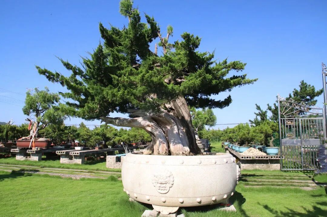 2080957046605156352.jpg 图片