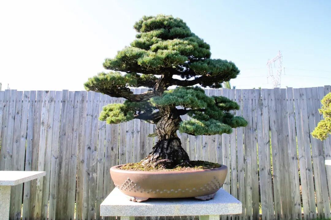 2080957047003615232.jpg 图片