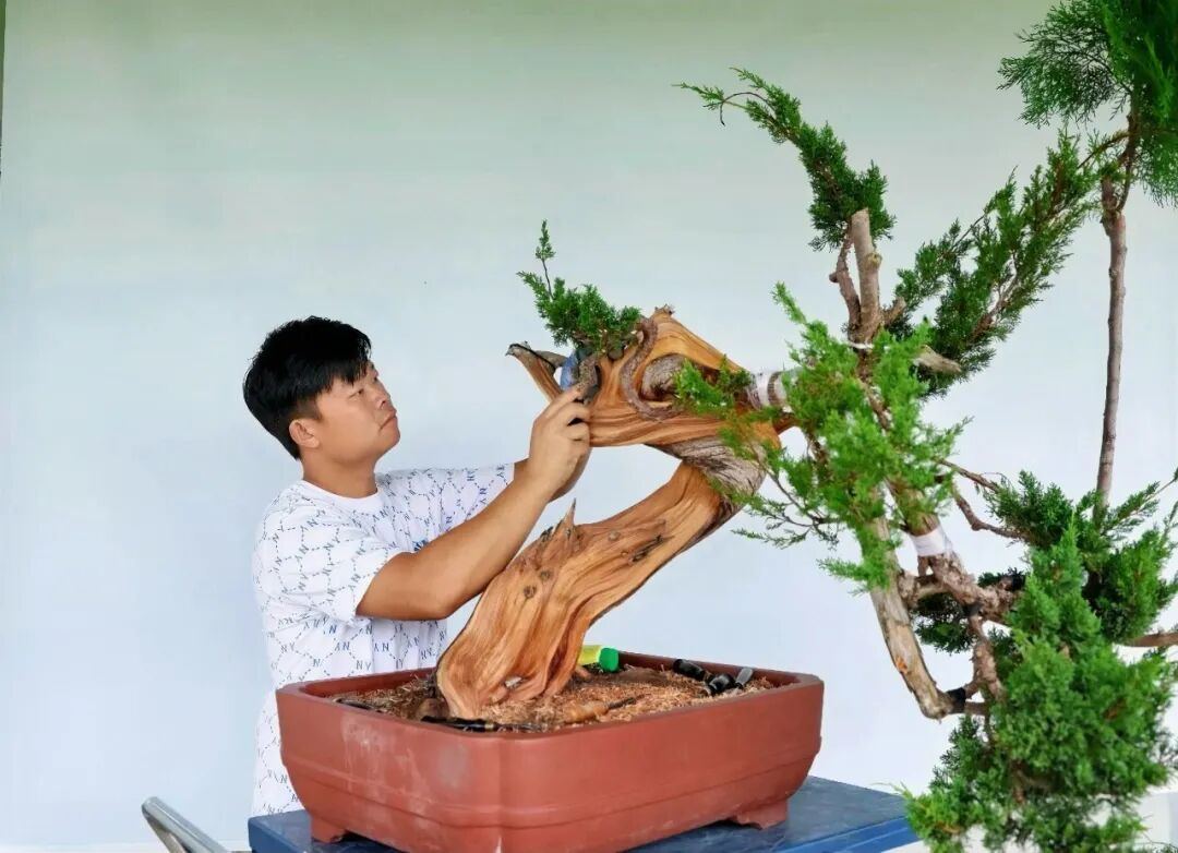 2080957047183970304.jpg 图片