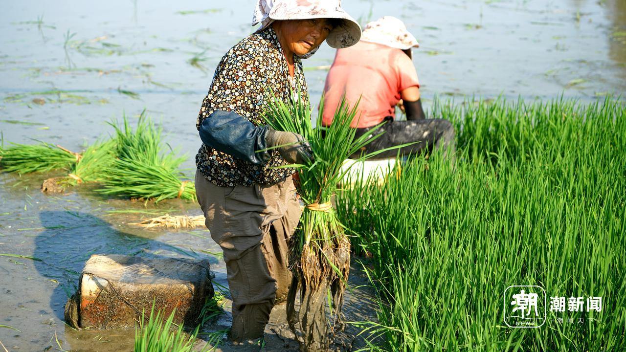 微信图片_20260801211714_46_360.jpg