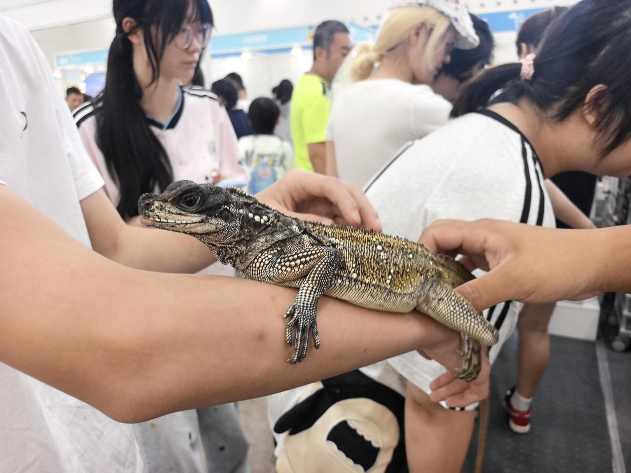 微信图片_20260802172331_117_2.jpg