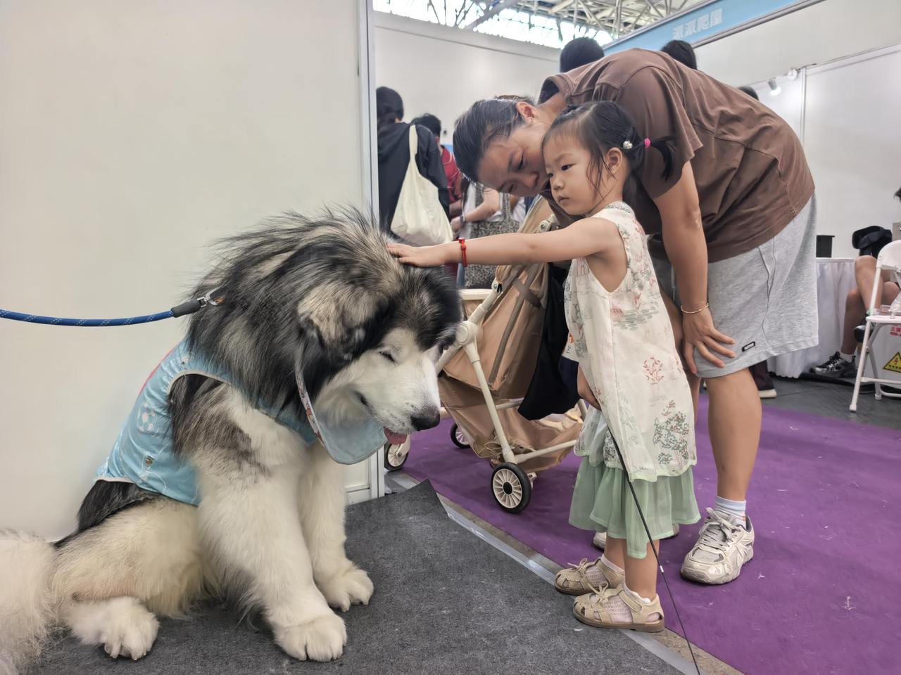 微信图片_20260802171542_109_2.jpg