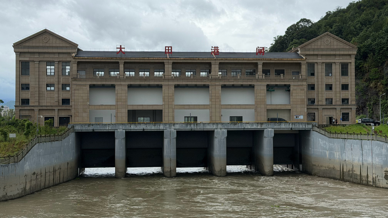 海豚2.jpg