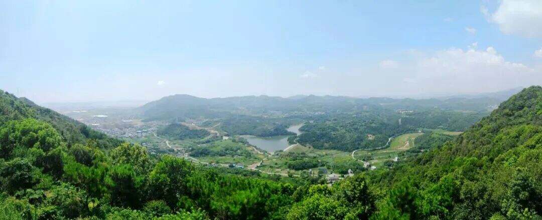 每地约8000万元！浙江3地获中央资金补助