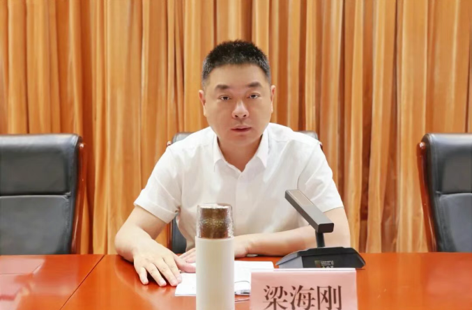 松阳县委农村工作会议暨村集体经济发展、乡镇（街道）强村公司市场化转型推进会召开
