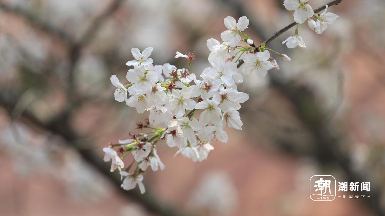 坐标台州椒江丨这里阳光正好 春暖花开