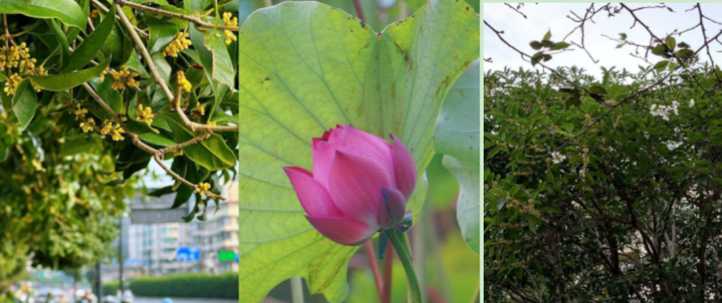 截屏2026-01-12 14.56.58.png