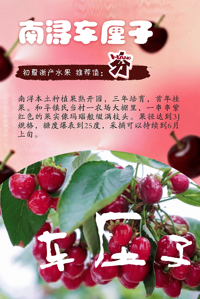 车厘子.gif