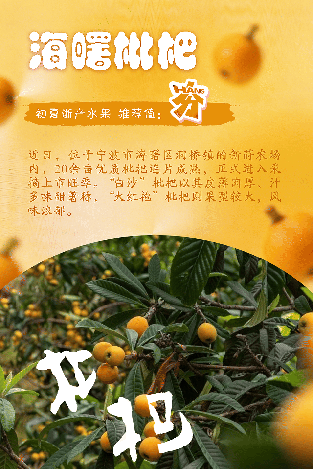 枇杷.gif