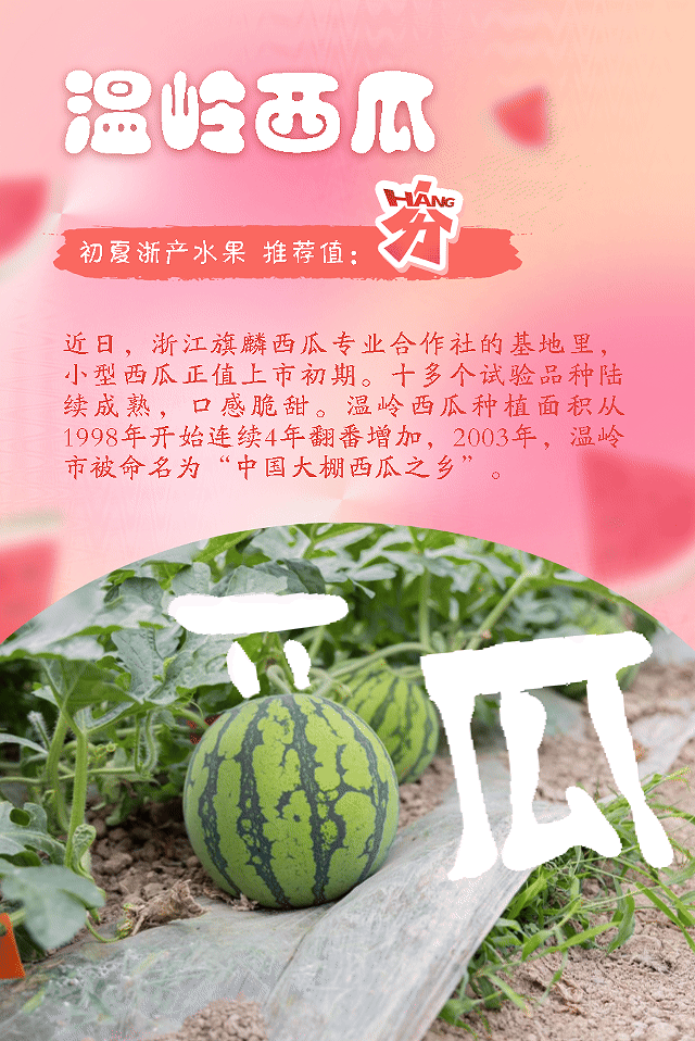 西瓜.gif