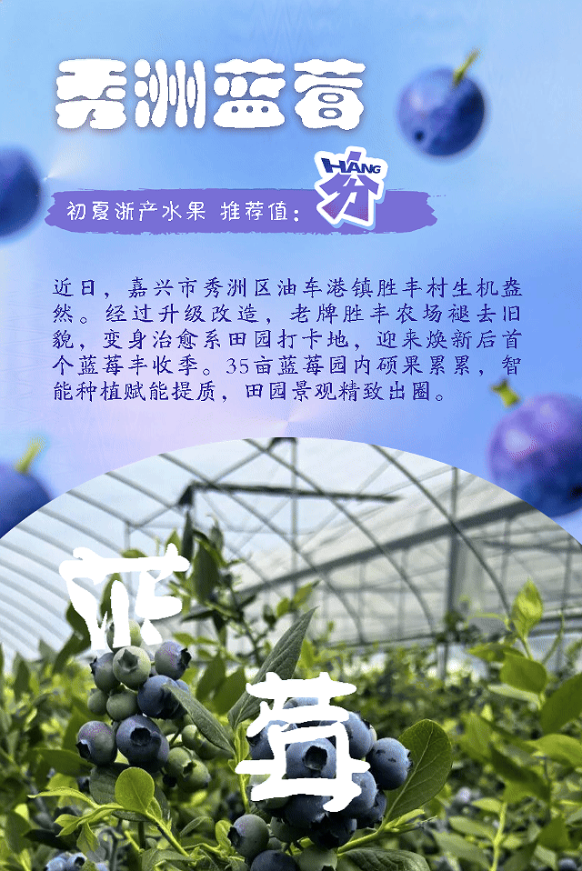 蓝莓.gif