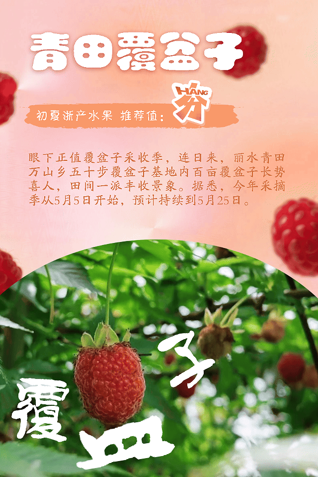 覆盆子.gif