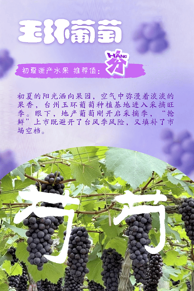 葡萄.gif