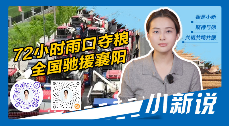 在线封面800440.jpg