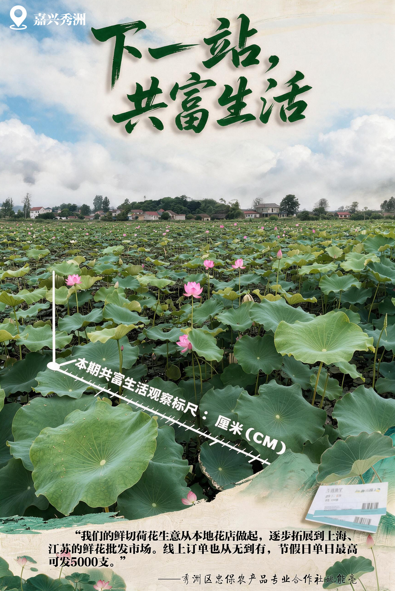 荷花xiugai.jpg
