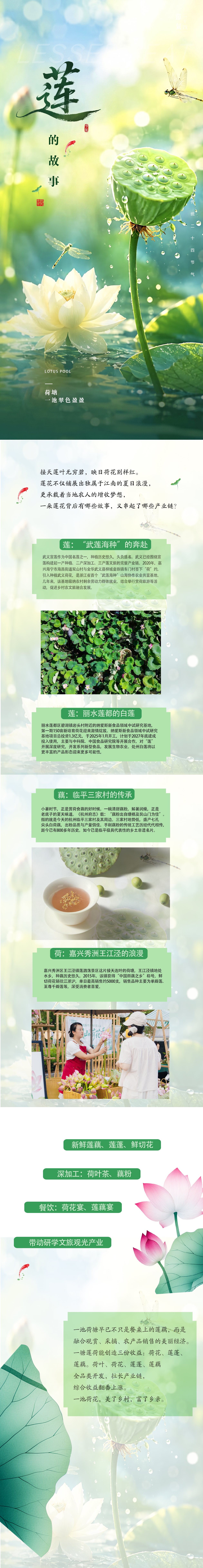 荷的故事.png