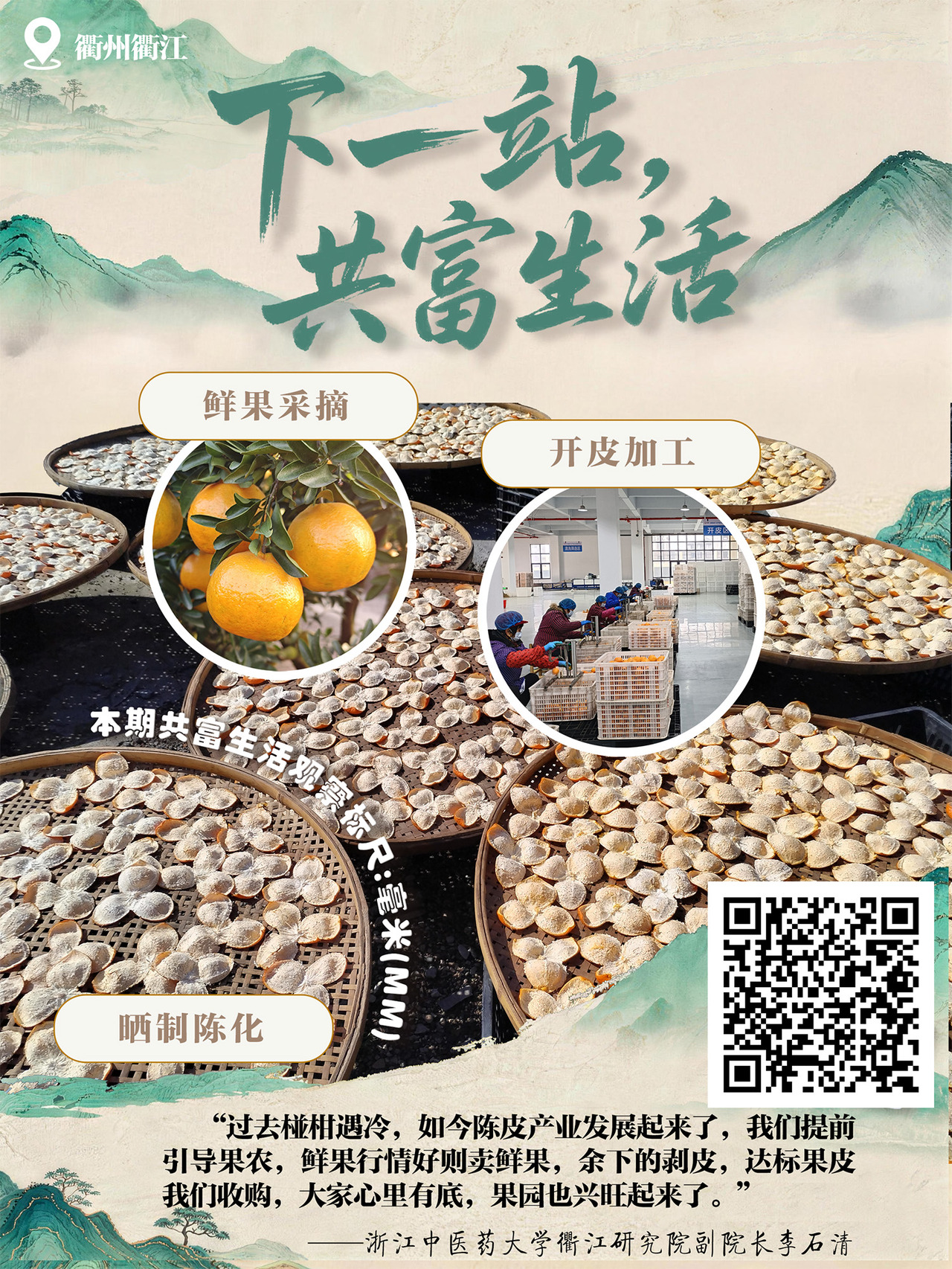 陈皮海报.jpg