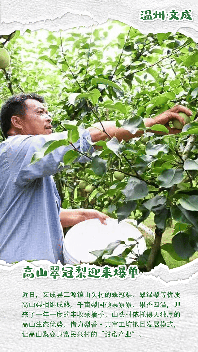 8月20日.gif