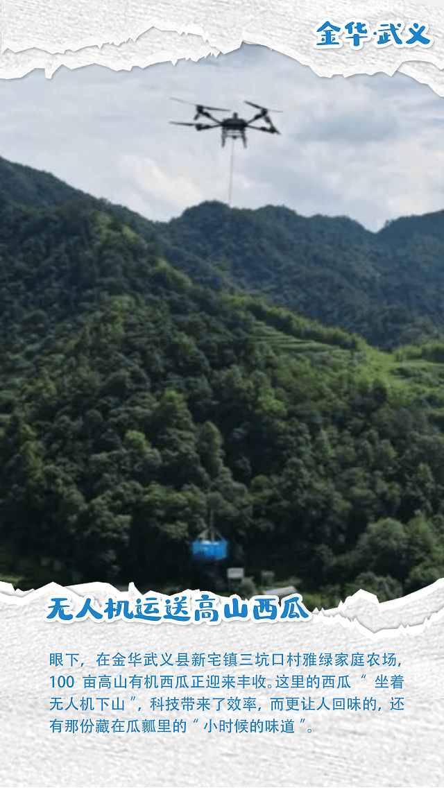 金华.gif