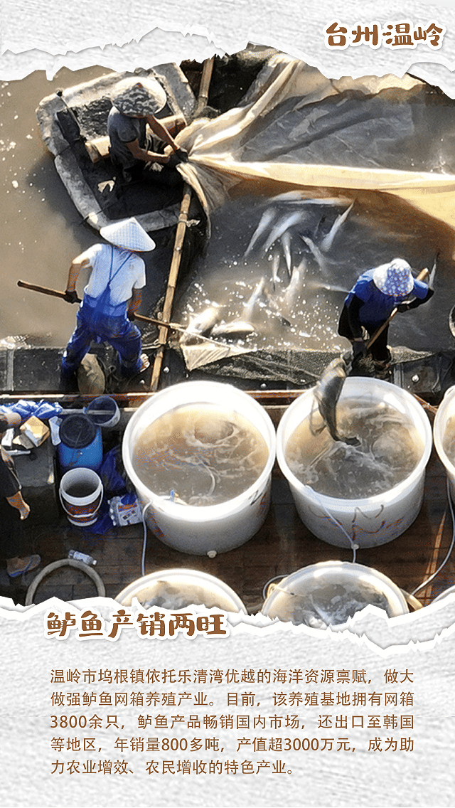 台州2.gif