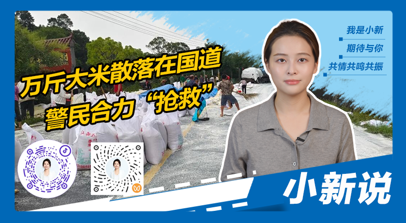 在线封面800440(1).png
