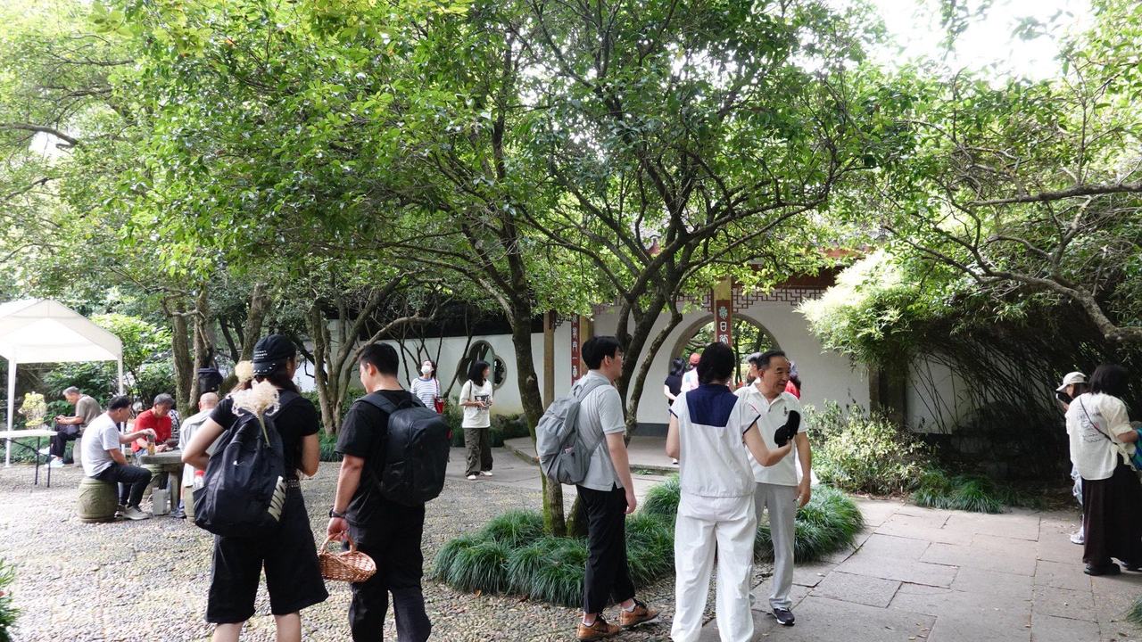 满觉陇桂香如约而至 游客直呼香气浓郁
