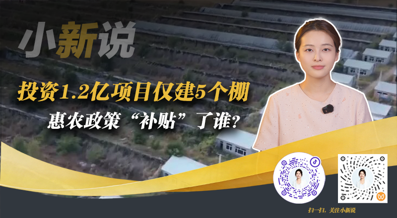 小新说在线封面(2026.10.9)(3).png