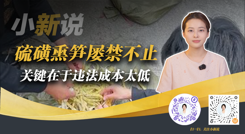 小新说在线封面(2026.10.9)(3).png